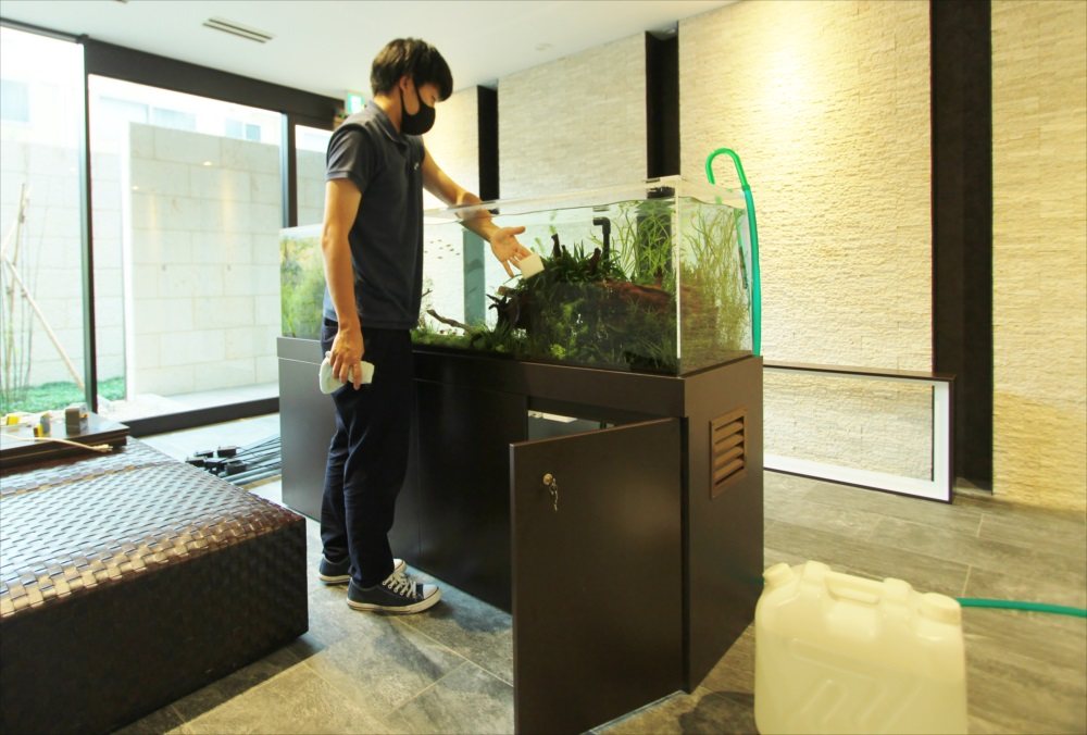 A technician finishing a water change on a planted aquarium, water jug at his feet