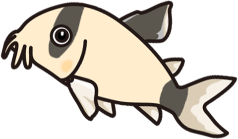 Illustration of a corydoras catfish, by Satoko Nakajima