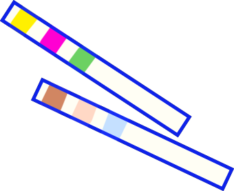 Illustration of an aquarium water test kit, by Satoko Nakajima