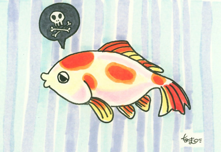 Hand-drawn illustration of a goldfish with a skull symbol, showing illness, by Satoko Nakajima