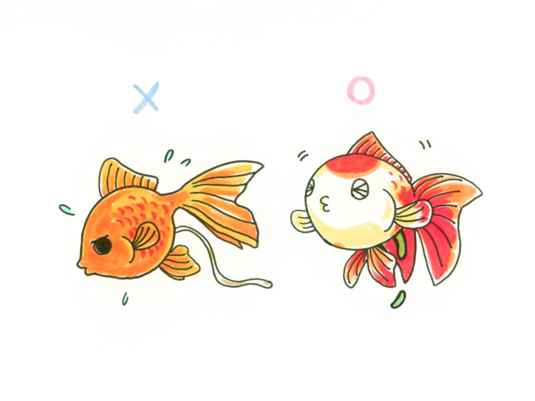 Illustration comparing a healthy goldfish and one prone to swim bladder trouble, by Satoko Nakajima