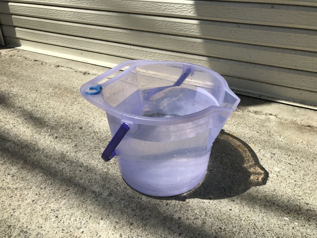 A bucket of tap water standing outdoors in sunlight to off-gas chlorine