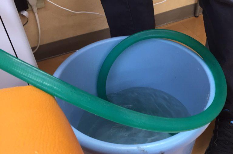 A bucket set up as a separate container for a goldfish salt bath
